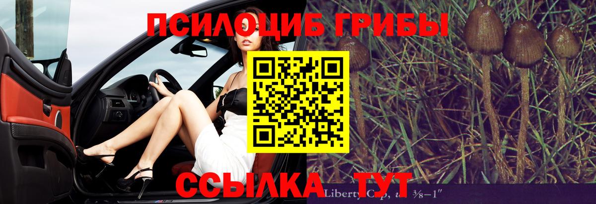 Галлюциногенные грибы Psilocybe Усть-Джегута