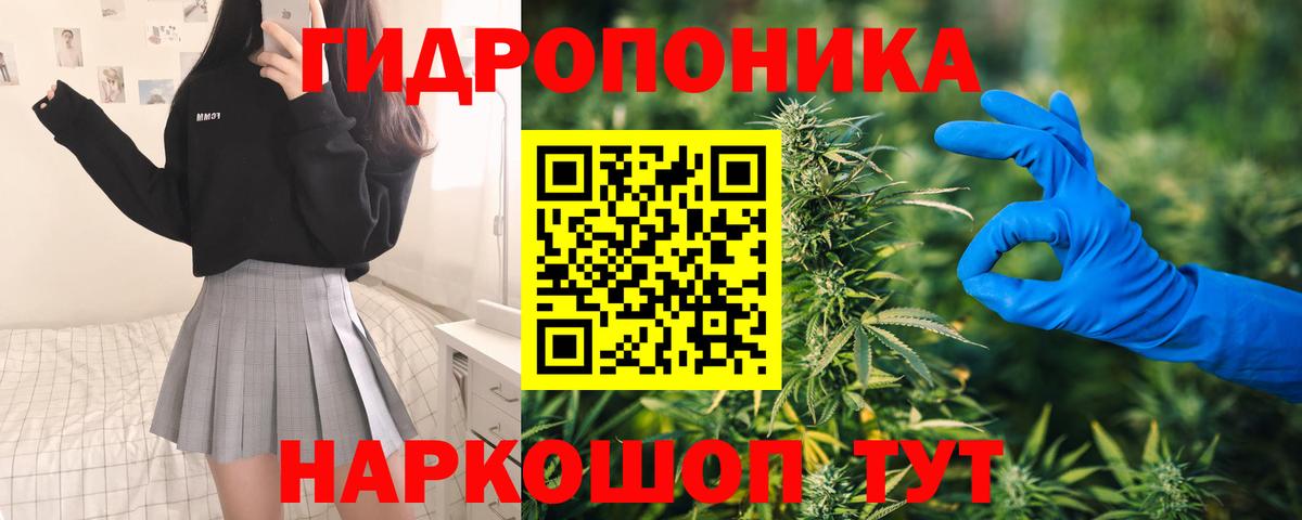 Конопля конопля Усть-Джегута